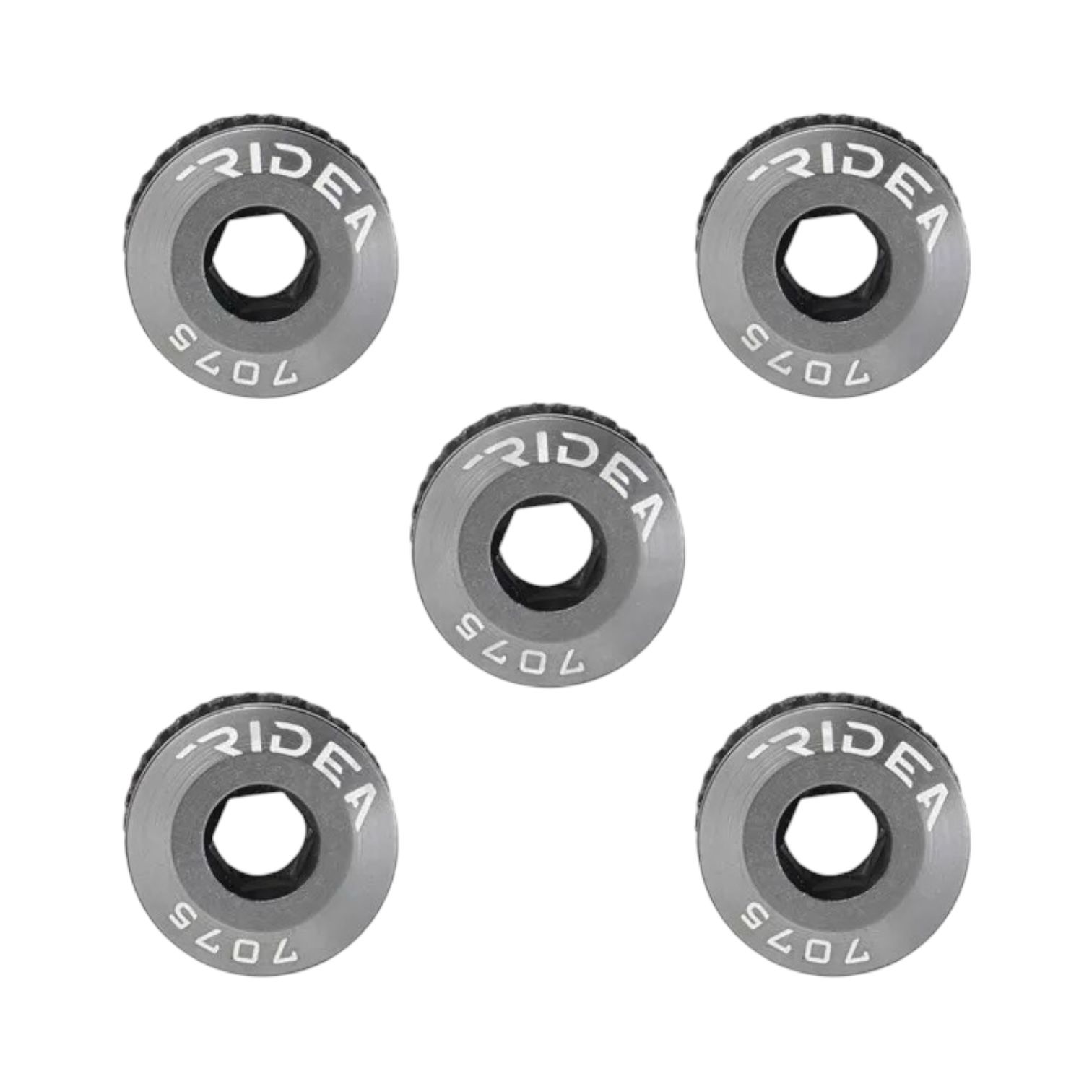 Ridea Chainring Bolts_Titanium Grey
